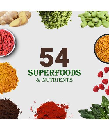 Chocolate Plant-Based Protein Powder - 21g Vegan Shake with Fava, Mung, Rice & Pea Protein - Dairy Free, Low Carb, Keto, Sugar and Gluten Free - Buy Online on GoSupps.com