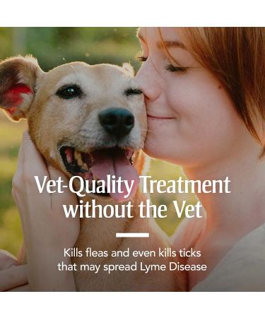 PetArmor Large Dog Flea and Tick Treatment - 3 Month Supply | For Dogs 45-88 Pounds - Buy Online on GoSupps.com