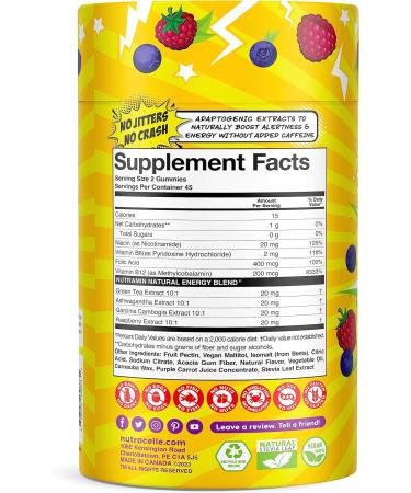NUTRAMIN Energy Boost Vitamin Gummy | Caffeine-Free Vegan & Sugar-Free Energy Supplement with B12 Green Tea & Ashwagandha | 90 ct for International Shipping - Buy Online on GoSupps.com