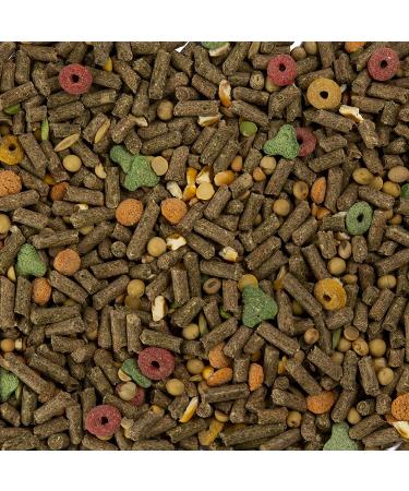 Wild Harvest Advanced Nutrition Diet for Guinea Pigs (Packaging May Vary) - Buy Online on GoSupps.com