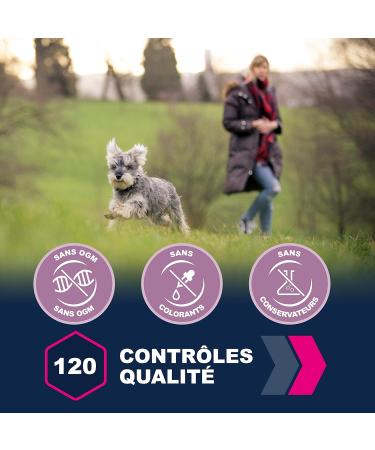 Eukanuba Dog Puppy Dry Food For Medium Breed Chicken 3Kg - Buy Online on GoSupps.com