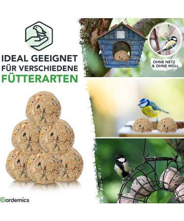 Gardemics Meisenkn del for Wild Birds | 100 Premium Bird Dumplings | 9 kg All-Year Feed for Garden Biodiversity - Buy Online on GoSupps.com