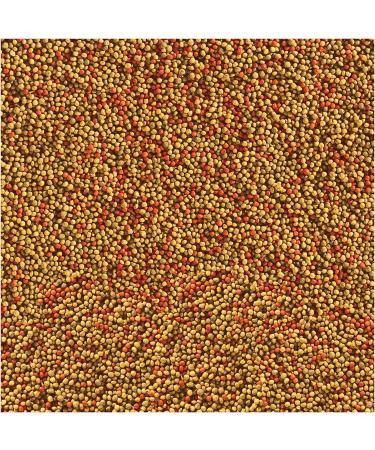 Tetra Goldfish Variety Pellets 1.87oz 53g 53 g (Pack of 1) - Buy Online on GoSupps.com