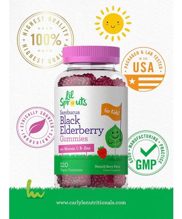 Elderberry Gummies for Kids - 120 Count Berry Flavor | Zinc, Vitamin C | Vegan, Non-GMO, Gluten-Free | Lil Sprouts - Buy Online on GoSupps.com