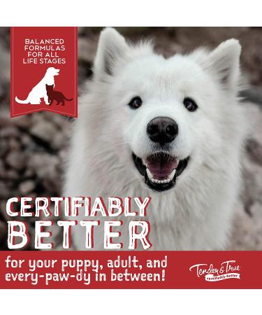 Buy Tender & True Antibiotic-Free Chicken & Brown Rice Canned Dog Food | 12-pack, 13.2 oz - Buy Online on GoSupps.com
