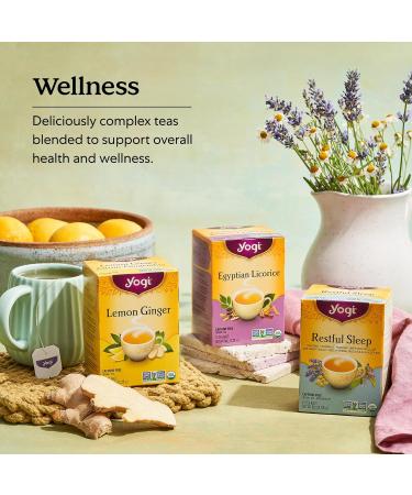 Yogi Tea - Green Tea Kombucha Tea - 6 Pack 96 Tea Bags Total - Buy Online on GoSupps.com