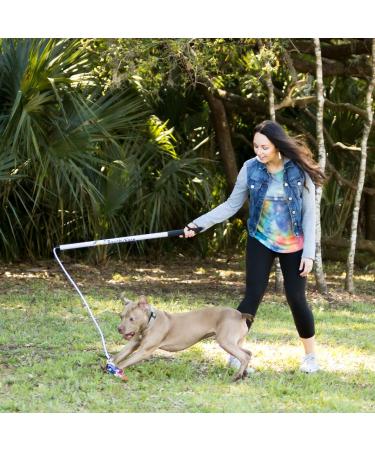 Squishy Face Studio Flirt Pole V2 with Lure - Durable Dog Toy for Fun Obedience Training & Exercise Rainbow Tie Dye Regular - 36 inch - Buy Online on GoSupps.com