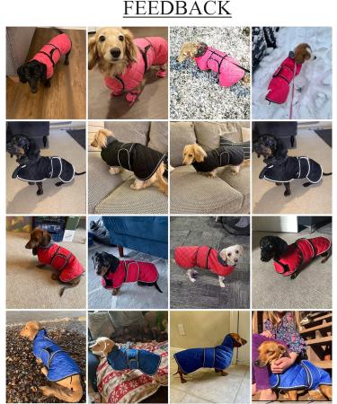 Warm Thermal Quilted Dachshund Coat - Blue - Size L - Winter Dog Apparel with Fleece Lining - Buy Online on GoSupps.com