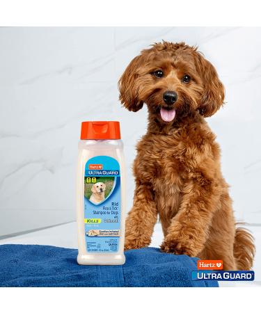 Hartz UltraGuard Rid Flea & Tick Oatmeal Dog Shampoo - 3270002305 - Buy Online on GoSupps.com