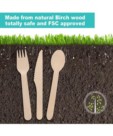 100Pcs Eco-Friendly Wooden Forks - Biodegradable & Compostable Disposable Wooden Forks for Eating - Sustainable Alternative to Plastic Utensils - Buy Online on GoSupps.com