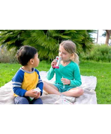 Hint Kids Water Variety Pack - 32 Boxes of 6.75oz with Cherry, Watermelon, Apple & Blackberry - Zero Sugar, Sweeteners, Preservatives & Artificial Flavors - 4-Flavor Variety Pack - Buy Online on GoSupps.com