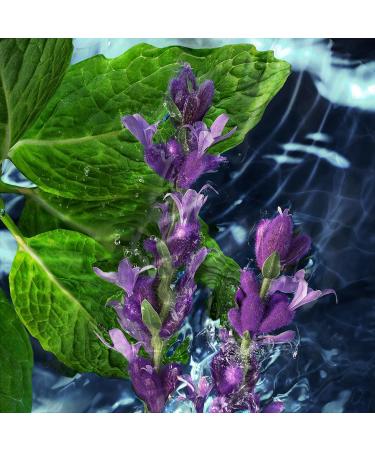 Davidoff Cool Water Men 3 Piece Set - Buy Online on GoSupps.com