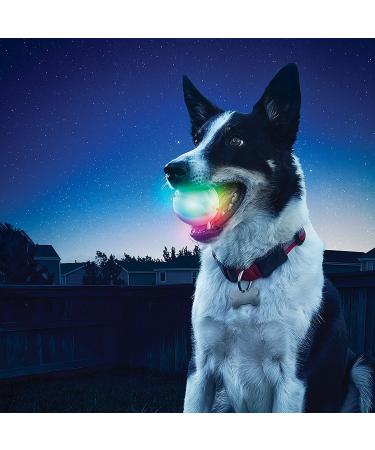 Nite Ize GlowStreak LED Dog Ball - Bounce-Activated Light Up Disc-O (Alternating) - Durable Fetch Toy for Dogs - Buy Online on GoSupps.com