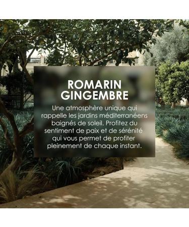 Jean & Len Conditioner Moisturizer Rosemary & Gingefer pour les cheveux ternes et brillants fournit une nutrition intense et conditioner avec un parfum pic sans parabens 300 ML. - Buy Online on GoSupps.com