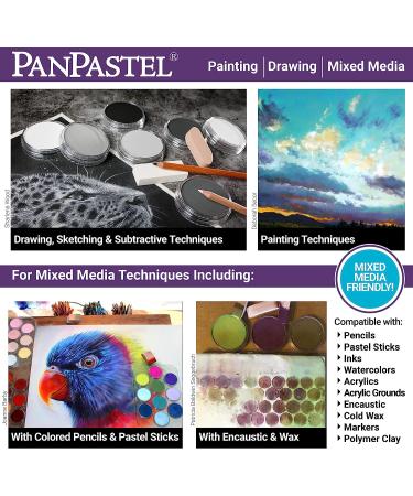 PanPastel 30101 Ultra Soft Artist Pastel 10 Color Painting Set with Sofft Tools - 20 Piece Set - Buy Online on GoSupps.com