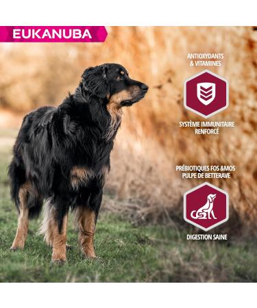 Eukanuba Daily Care - Mono-protein Salmon Dry Food for Adult Dogs - Rich in Fresh Frozen Salmon 2.3 kg - Buy Online on GoSupps.com