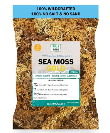 DualSpices Sea Moss Gold, 16 Oz, 100% Dry Wildcrafted No Salt Or Sand, NO Chemicals Or Preservatives, Harvested from The Protected Carribean Sea Directly from Jamaica - Non-GMO, Vegan, Superfood. Raw Fresh 1 Pound (Pack of 1)