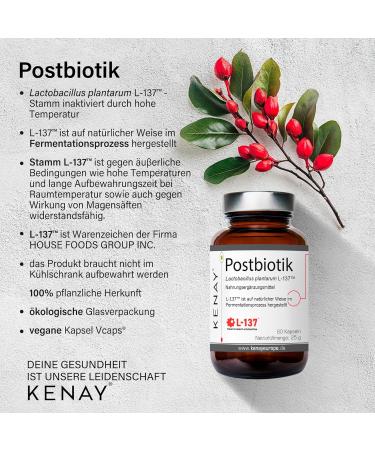  kenay Postbiotic | Lactobacillus plantarum L-137 | 60 capsules | Dietary supplement | KENAY | Japanese quality | - Buy Online on GoSupps.com