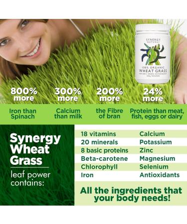 Synergy Natural Organic Wheat Grass Powder 500g - Pure and Potent Superfood - Buy Online on GoSupps.com