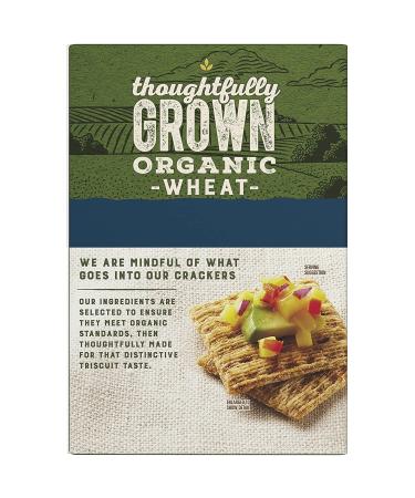 Triscuit Organic Original Crackers - Non-GMO - 7 Ounce (Pack of 6) - Buy Online on GoSupps.com