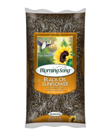 Morning Song 11997 Black Oil Sunflower Wild Bird Food, 5-Pound