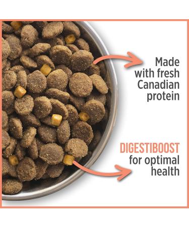 Nutrience Care Sensitive Skin & Stomach Hypoallergenic Dog Food Salmon & Pumpkin 2.27 kg (5 lb) Bag - Buy Online on GoSupps.com