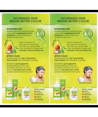 Garnier Nutrisse Nourishing Creme 73 Dark Golden Blonde Permanent Hair Dye - 2 Count - Buy Online on GoSupps.com