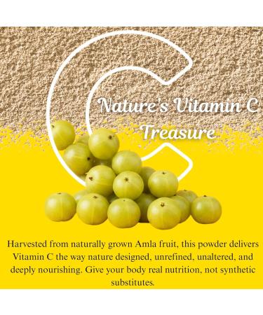 BASIC AYURVEDA Amla Powder | 7.05 Oz (200g) | 100% Raw & Natural Indian Gooseberry (Amalaki) for Hair Skin & Immunity | No Additives | Ideal for Smoothies DIY Masks Herbal Use & Wellness - Buy Online on GoSupps.com