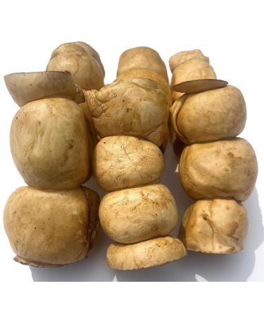 Beef Cheek Rolls Dog CHEW Treat - *(Peanut Butter 6 Pack 6 INCH)* - Original/Peanut Butter/Vanilla Mint Flavors - Single Ingredient - Rawhide Free - Super Thick - All Natural - Long Lasting PEANUT BUTTER 6 PACK 1 count (Pack of 6)