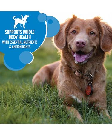 Iams Chicken Adult Dry Dog Food 15lb - Healthy Weight Formula - Buy Online on GoSupps.com