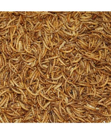 Paul's Mill Dried Mealworms 5kg - Protein-Rich Treats for Hedgehogs Hamsters Pond Fish & Birds | International Shipping - Buy Online on GoSupps.com