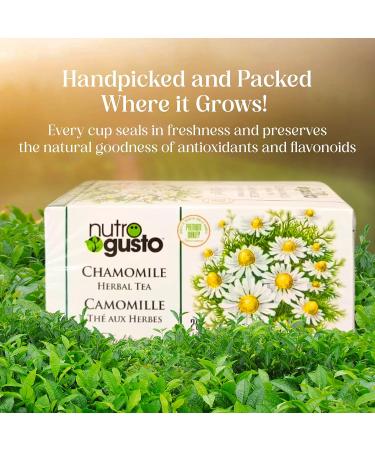 NutroGusto Tea Chamomile 35 g - Buy Online on GoSupps.com
