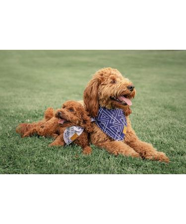 Remy+Roo Dog Bandanas 4-Pack - Premium Durable Fabric - Adjustable Fit - Large Size - Buy Online on GoSupps.com