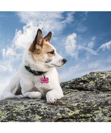 Silent Double Sided Engraved Dog Tags - Personalized Silicone Pet Tags for Dogs - Custom Name & Design - Durable & Noiseless - Bone Shaped - Buy Online on GoSupps.com