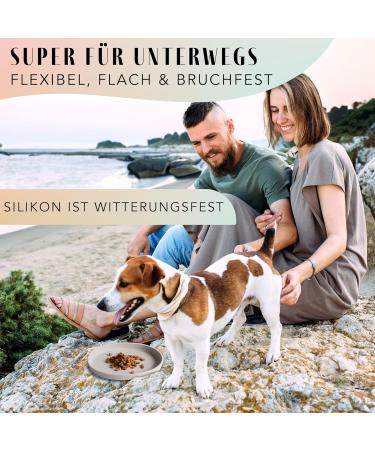 High-Quality NE & NO Food Bowl for Small Dogs & Puppies | Travel-Friendly Silicon Wide Bowl for Dry & Wet Food | Durable Water Bowl - Stone Gray - Buy Online on GoSupps.com