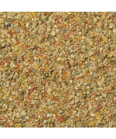 DAFNIA NATURALNA 12g - Dried water fleas for ornamental fish - Buy Online on GoSupps.com