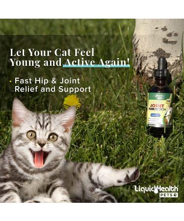 LIQUIDHEALTH 2.3 Oz Liquid Cat Glucosamine Joint Support - Hip & Joint Relief for Senior Cats & Kittens - Buy Online on GoSupps.com