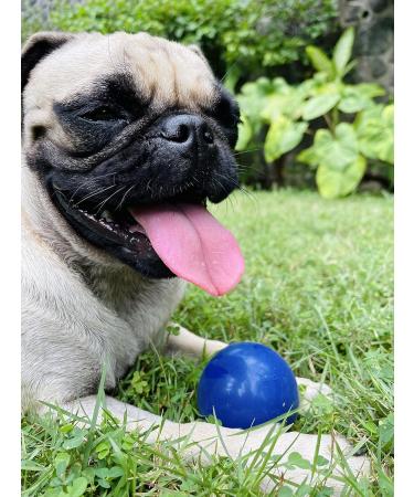 Tuff Pup Superchewy Tough Ball Toys for Dogs | Durable Natural Rubber | Best for Large Breeds | Ultra-Durable 2-Inch & 5-CM Options - Buy Online on GoSupps.com