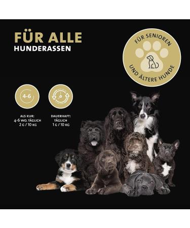 Peticare Senior Active Vital Mix Powder for Senior Dogs | Natural Food Supplement with Green Lipped Mussel MSM Turmeric | Immune Boost & Deficiency Support | petDog Health 2603 (125 g) - Buy Online on GoSupps.com