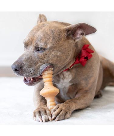 Benebone Zaggler Rolling Dog Chew Toy - Real Bacon Flavor, Made in USA - Medium Size for Aggressive Chewers - Buy Online on GoSupps.com