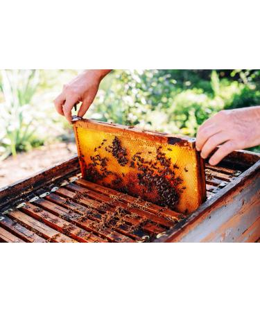 Pure Raw Linden Blossom Honey 1000g - Unheated Natural Ingredients with Pollen & Beeswax - International Shipping Available - Buy Online on GoSupps.com