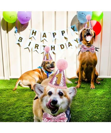 Dher Pet Birthday Set - Pink Sequin Hat & Party Decoration for Dogs & Cats | Festive Birthday Accessories - Buy Online on GoSupps.com