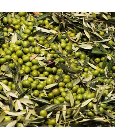 Loxa Extra Virgin Olive Oil 2.5L - Buy Online on GoSupps.com