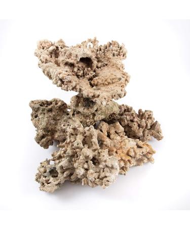 Aquarium Dried Reef Rock Mixed Pack (5kg) 5 kg (Pack of 1) - Buy Online on GoSupps.com