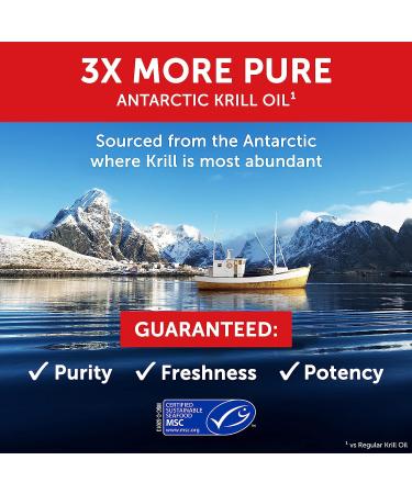 Antarctic Krill Oil 500mg Omega-3 Supplement | MegaRed Extra Strength EPA & DHA Softgels (90ct) | Astaxanthin Antioxidant | Heart Health Formula with No Fish Oil Aftertaste - Buy Online on GoSupps.com