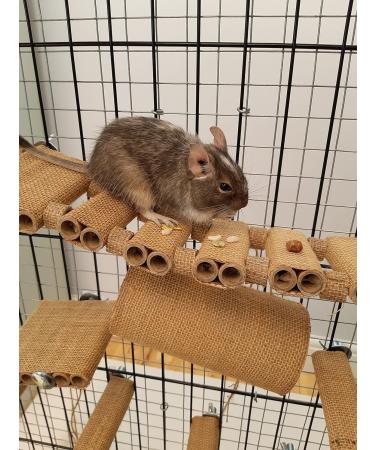 Totally Degu Pea Treats - Buy Online on GoSupps.com