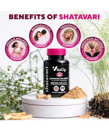 VitaUp Shatavari Capsules for Women 1200mg - USA Made Shatavari Root Supplement for Normal Hormonal Support Menopause & Menstrual Wellness - 60 Vegan Capsules - Buy Online on GoSupps.com
