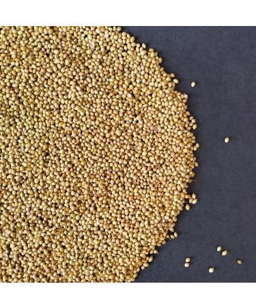 Organic Kamelur Millet (500g) - Premium Peeled Millet from Organic Farming | International Shipping Available - Buy Online on GoSupps.com
