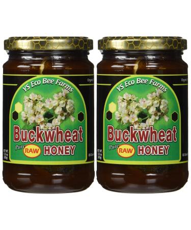 Y.S. Eco Bee Farms Buckwheat Pure Raw Honey 13.5 oz (383 g)
