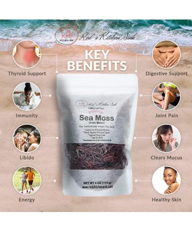 Wildcrafted Purple Sea Moss from St. Lucia - 100% Natural & Raw - 4oz Pack - Hard to Find Irish Moss - Buy Online on GoSupps.com
